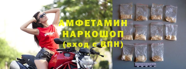 молекула духа Богородск
