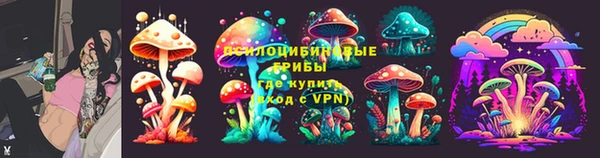 молекула духа Богородск