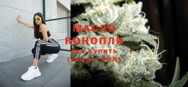 молекула духа Богородск