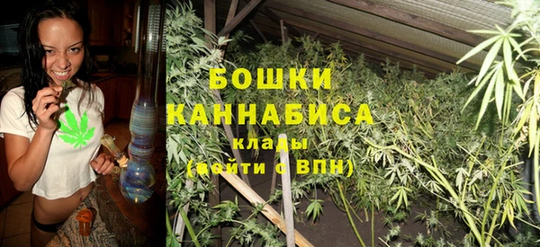молекула духа Богородск