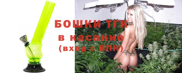 молекула духа Богородск