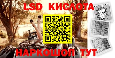 индика Кандалакша