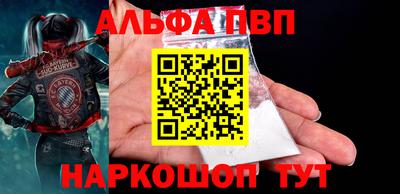 индика Камышлов