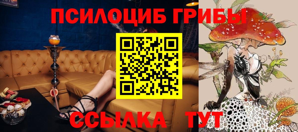 Псилоцибиновые грибы Psilocybe Наро-Фоминск